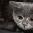 View Minimalen\'s profile